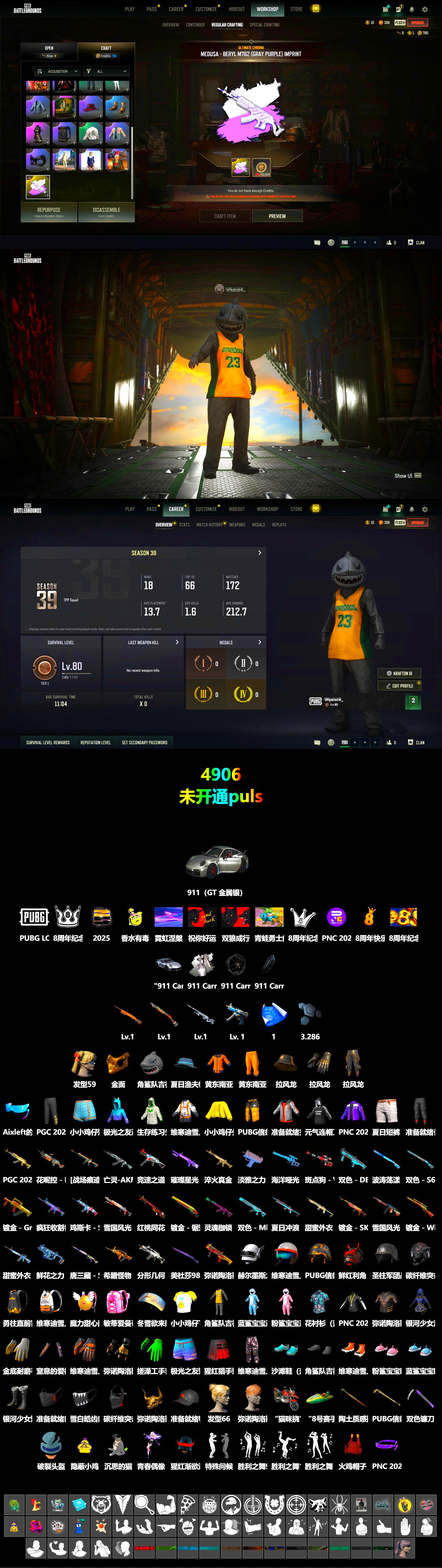«911 Carrera GTS» Sports Car, PGC 2021 Contingent Chaos Mask, Ghosted — AKM - 2
