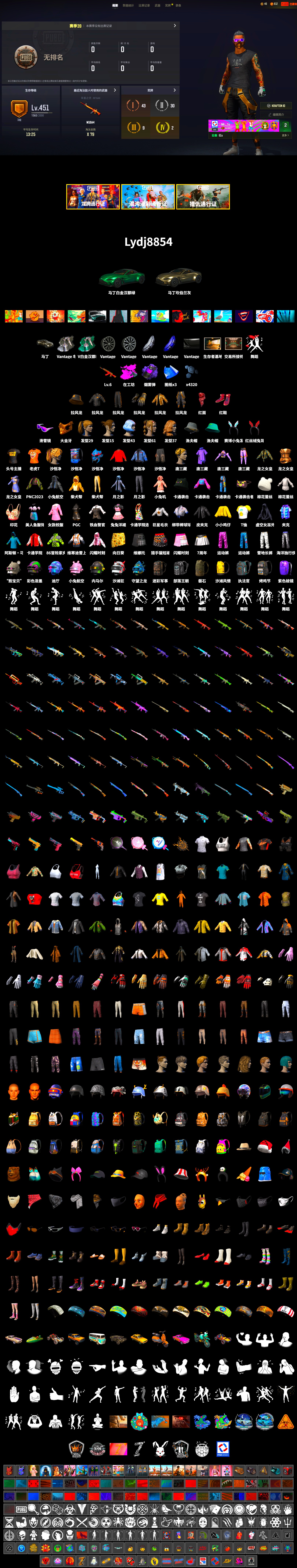 Neon Dream — AUG, Purple Smoke Grenade, Hi-top Trainers (Red), «V12 Vantage Roadster» Sports Car, Snow Glasses, PGC 2021 Contingent Chaos Mask, PLAYERUNKNOWN's Bandana, Heavy Fur Coat (Black), Harley Quinn's Hair, StreamerOne, Full Autumn — M416, «DBX707» SUV - 2
