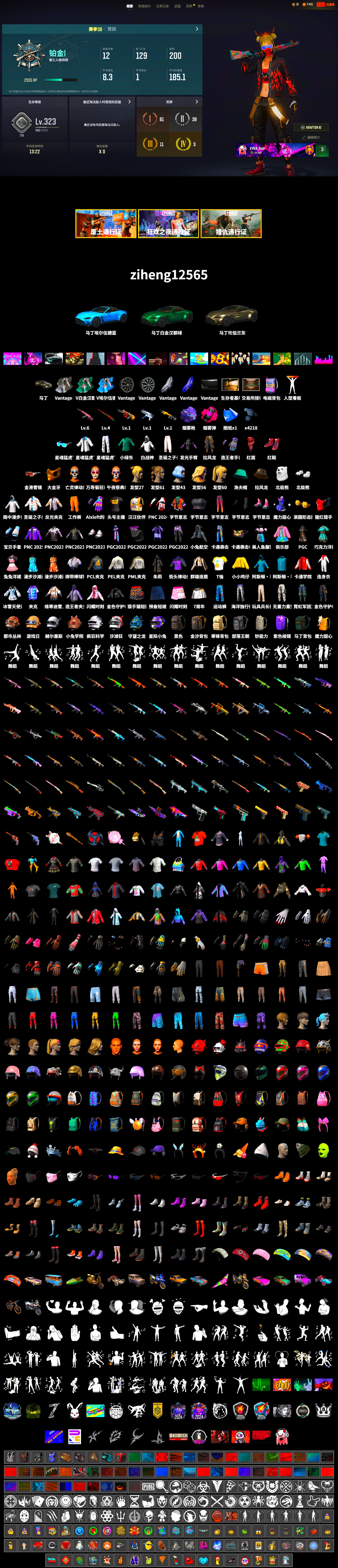 Magenta Smoke Grenade, Purple Magical Mist — M79, Hi-top Trainers (Red), «V12 Vantage Roadster» Sports Car, PGC 2021 Contingent Chaos Mask, PLAYERUNKNOWN's Bandana, Heavy Fur Coat (Black), Polar Bear Feet, PML 2019 Phase 2 Jacket, PEL 2019 Phase 2 Jacket, XingHun's Tiger Strike Jacket, XingHun's Tiger Strike Pants, Sideshow Bear Feet, StreamerOne, «DBX707» SUV - 2