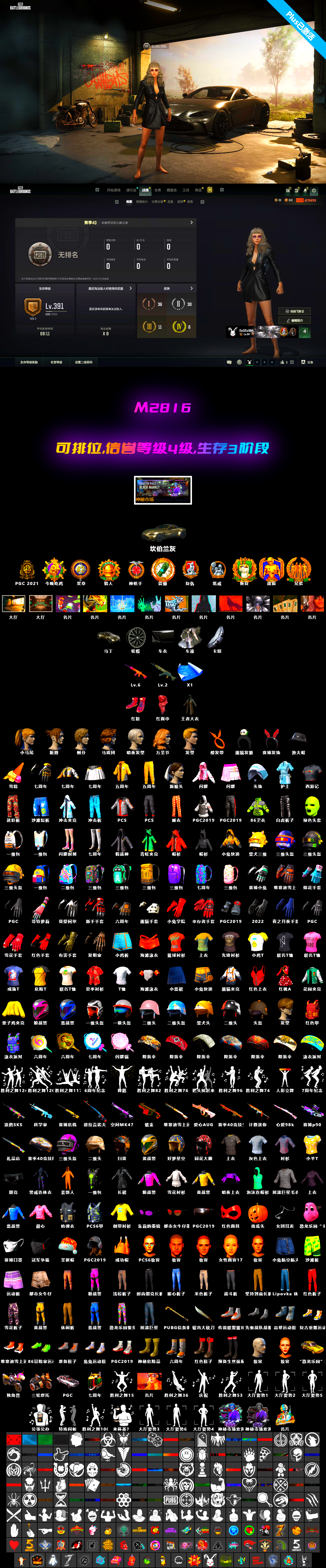 Trick-or-treat — M416, Azure Dragon — Beryl M762, Harley Quinn's Hair, «V12 Vantage Roadster» Sports Car - 2