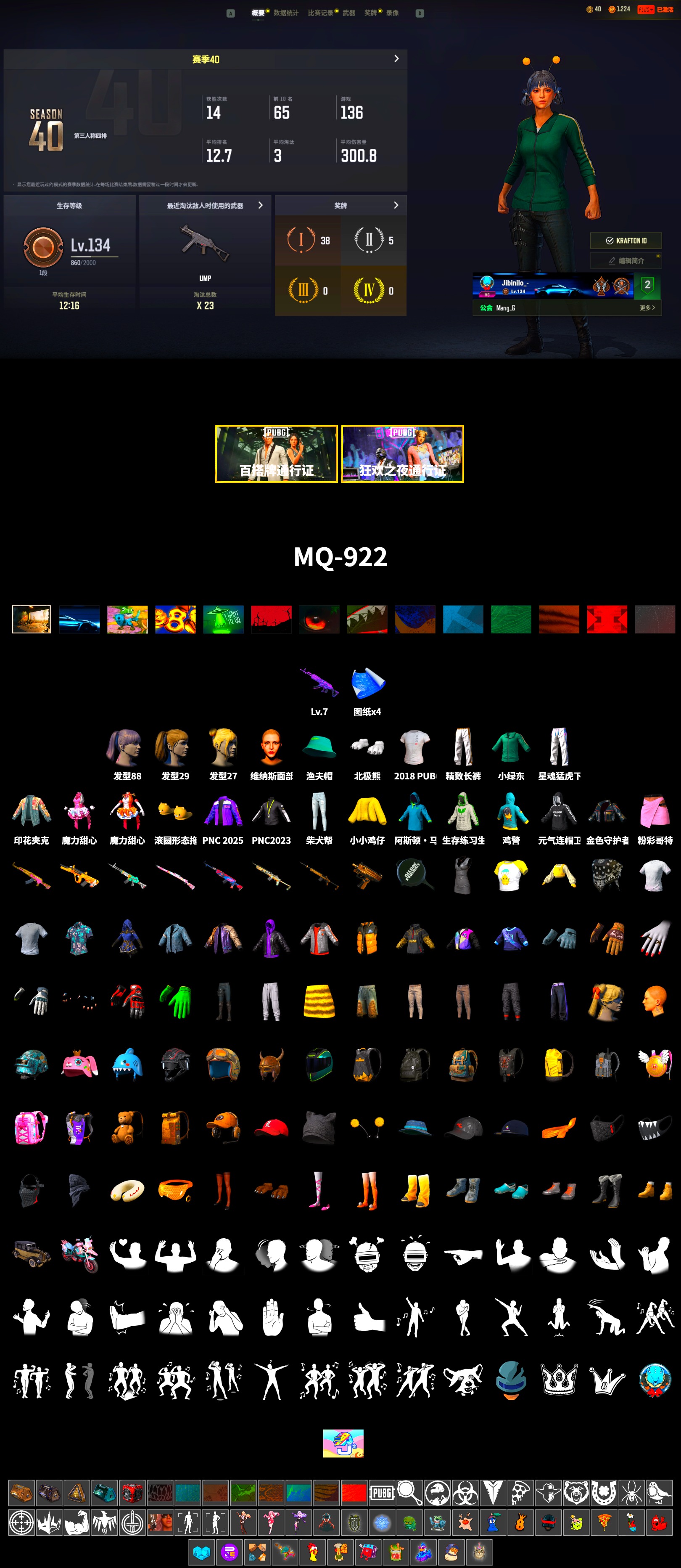 Polar Bear Feet, Harley Quinn's Hair, XingHun's Tiger Strike Pants, Sideshow Bear Feet, Exquisite Pants, 2018 PUBG ALL-STAR T-shirt (Korean) - 2