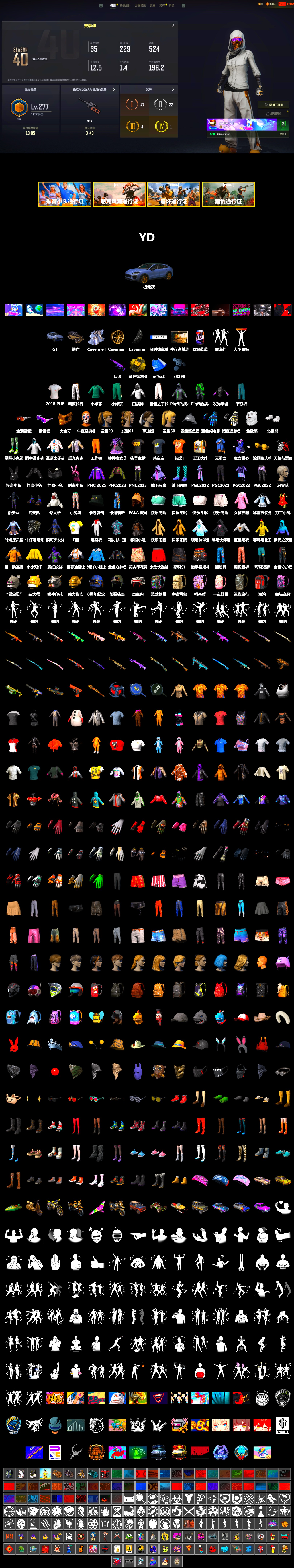 «Cayenne Turbo GT» SUV, Snow Glasses, PGC 2021 Contingent Chaos Mask, Polar Bear Feet, Harley Quinn's Hair, Exquisite Pants, XiongDi Hoodie, StreamerOne, Training Jacket (Green), Full Autumn — M416, Blue Thunder Gloves, 2018 PUBG ALL-STAR T-shirt (Korean) - 2