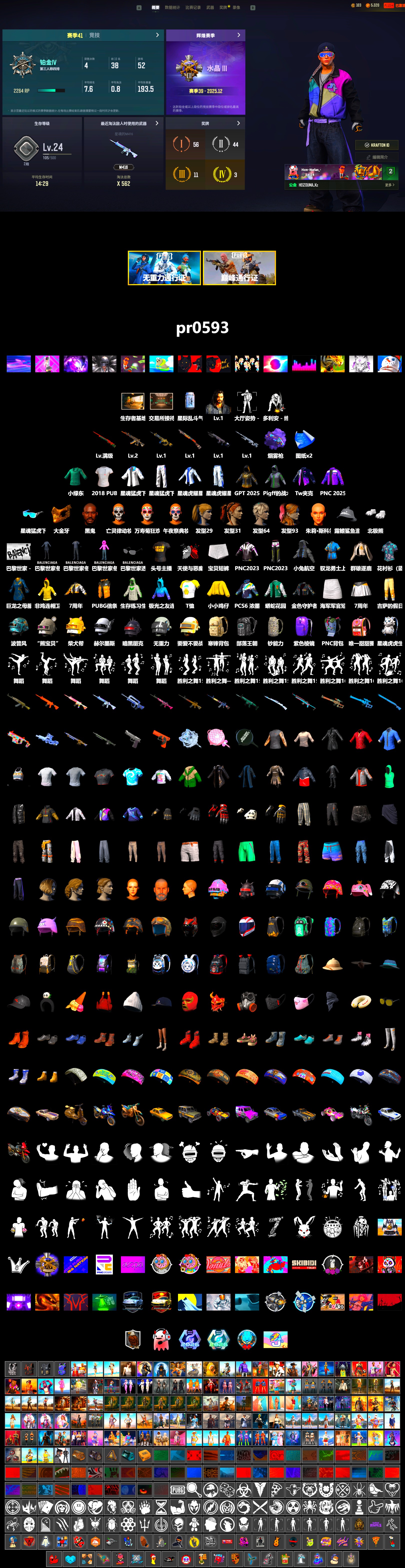 Purple Magical Mist — M79, Jonathan Kamau, PGC 2021 Contingent Chaos Mask, Polar Bear Feet, Harley Quinn's Hair, XingHun's Tiger Strike Jacket, XingHun's Tiger Strike Pants, StreamerOne, 2018 PUBG ALL-STAR T-shirt (Korean) - 2