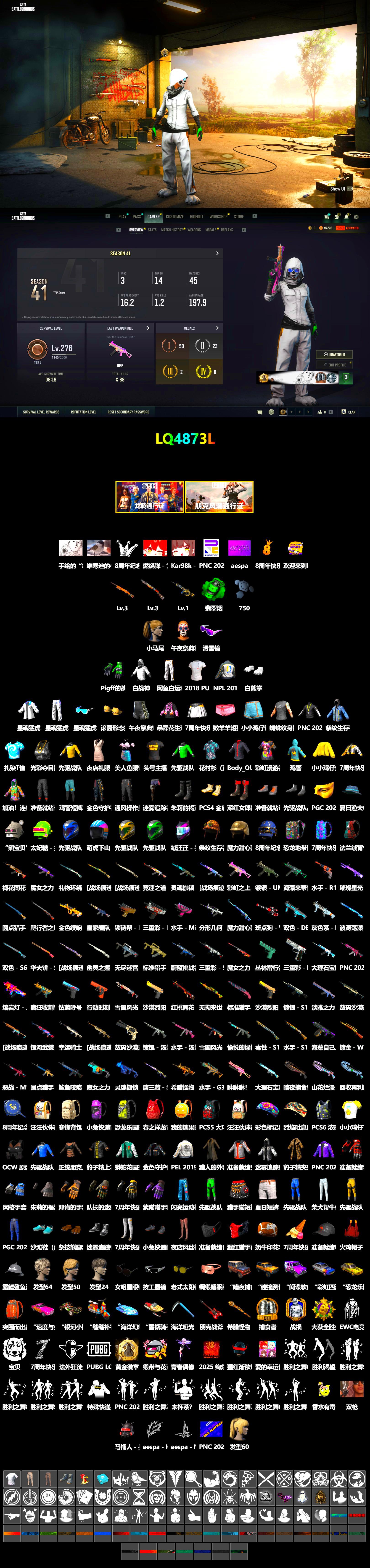 Emerald Smoke Grenade, Snow Glasses, Polar Bear Feet, Harley Quinn's Hair, PEL 2019 Phase 2 Jacket, XingHun's Tiger Strike Jacket, XingHun's Tiger Strike Pants, NPL 2019 Phase 2 Jacket, Sideshow Bear Feet, StreamerOne, 2018 PUBG ALL-STAR T-shirt (Korean) - 2
