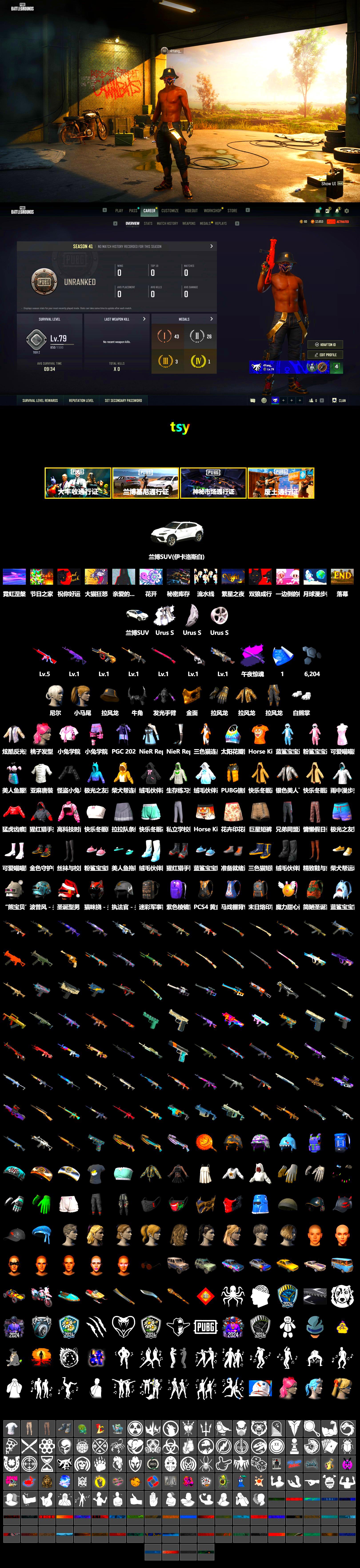 PGC 2021 Contingent Chaos Mask, Demon Biker Horns, Polar Bear Feet, Harley Quinn's Hair, XiongDi Hoodie - 2