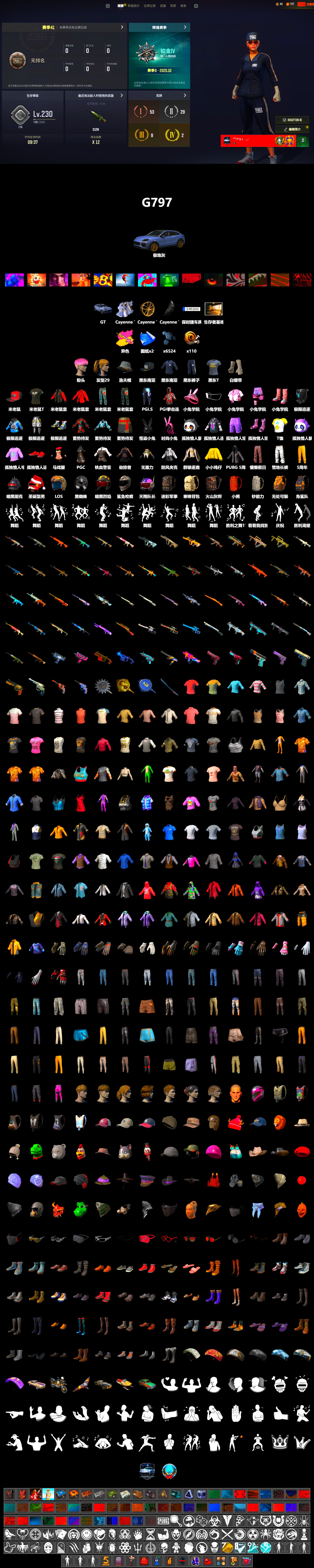 SEA Champ Training T-shirt, PGI Title Wraps, «Cayenne Turbo GT» SUV, Harley Quinn's Hair, SEA Champ Training Snapback, SEA Champ Training Pants, The Mau5 Hat, PGI Ringside Hoodie, Bengal Blade - SCAR-L, PGI T-Shirt - 2