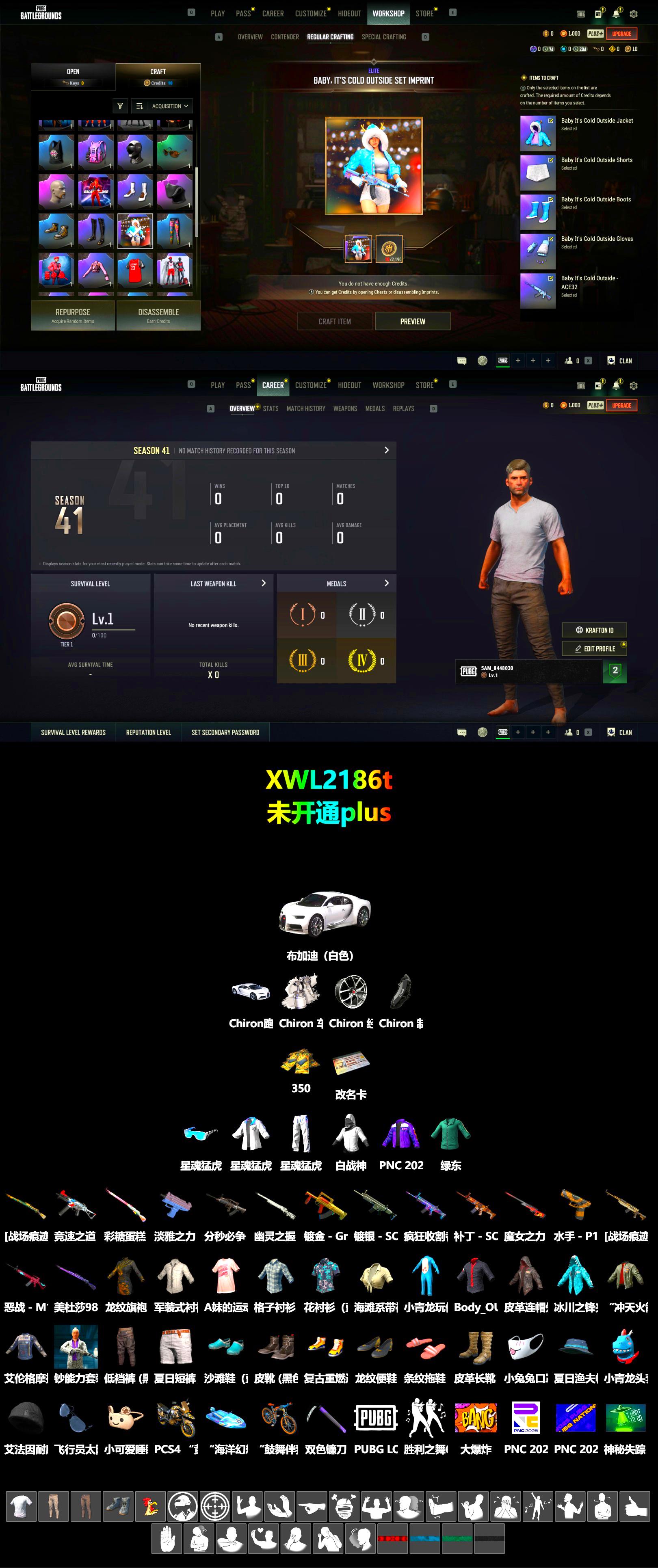 «Chiron» Sports Car, XingHun's Tiger Strike Jacket, XingHun's Tiger Strike Pants - 2