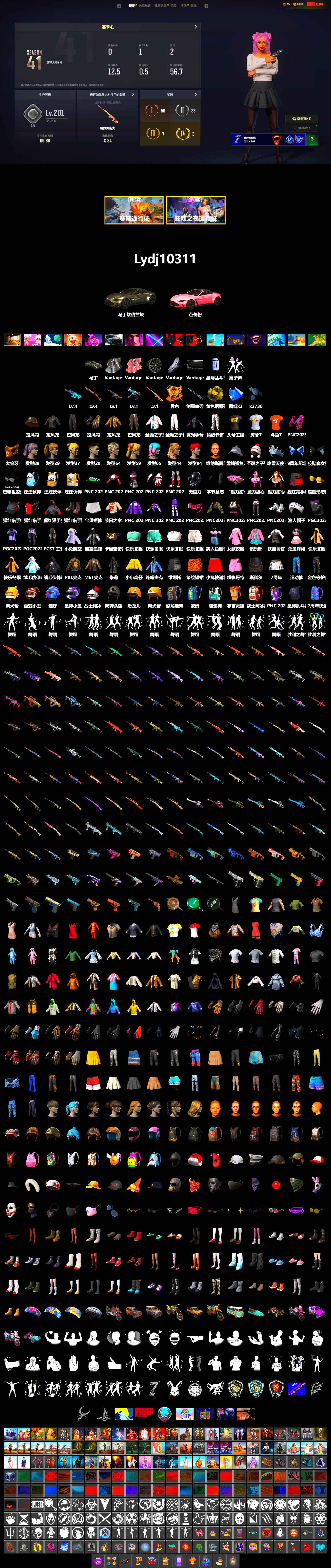 Rest in Pink — Dragunov [1], Void — Pan (Yellow Orange), «V12 Vantage Roadster» Sports Car, PGC 2021 Contingent Chaos Mask, Harley Quinn's Hair, PKL 2019 Phase 2 Jacket, Exquisite Pants, StreamerOne, Full Autumn — M416, HUYA T-shirt, DOUYU T-shirt, «DBX707» SUV - 2