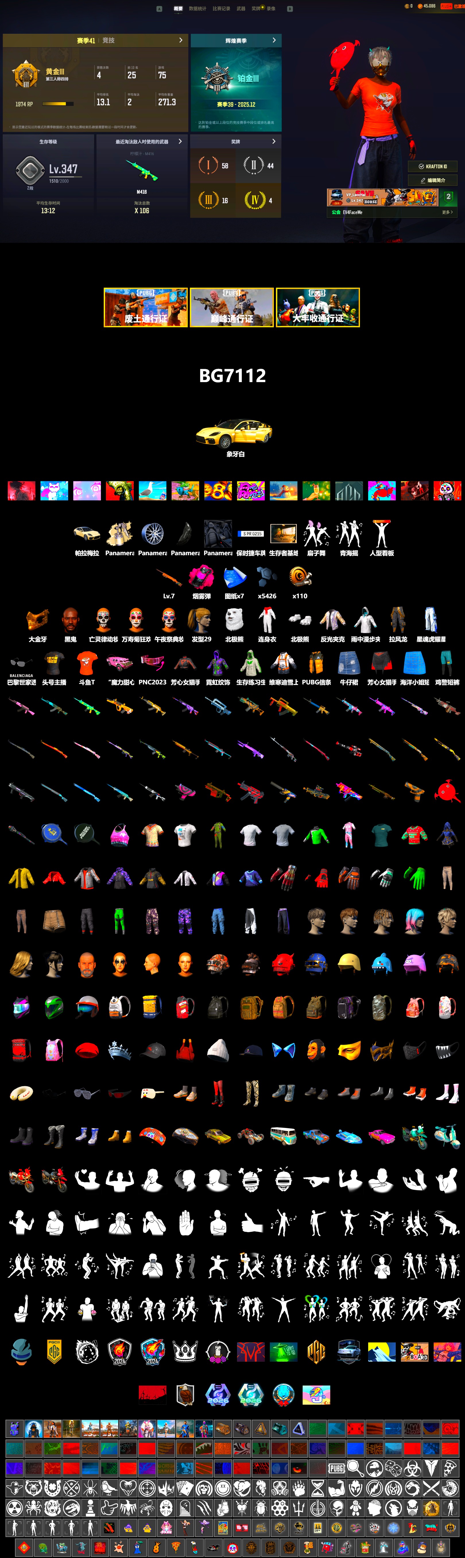 Magenta Smoke Grenade, «Panamera Turbo S» Sedan, Jonathan Kamau, PGC 2021 Contingent Chaos Mask, Polar Bear Feet, Harley Quinn's Hair, StreamerOne, DOUYU T-shirt - 2