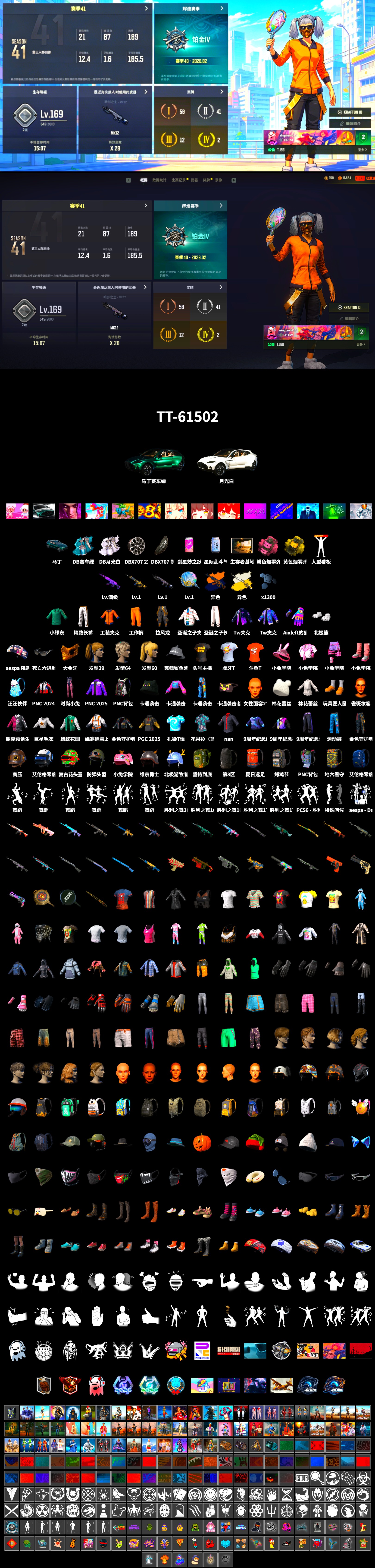 «DBX707» SUV, PGC 2021 Contingent Chaos Mask, Polar Bear Feet, aespa Stage, Harley Quinn's Hair, Exquisite Pants, StreamerOne, Full Autumn — M416, HUYA T-shirt, DOUYU T-shirt, «DBX707» SUV - 2