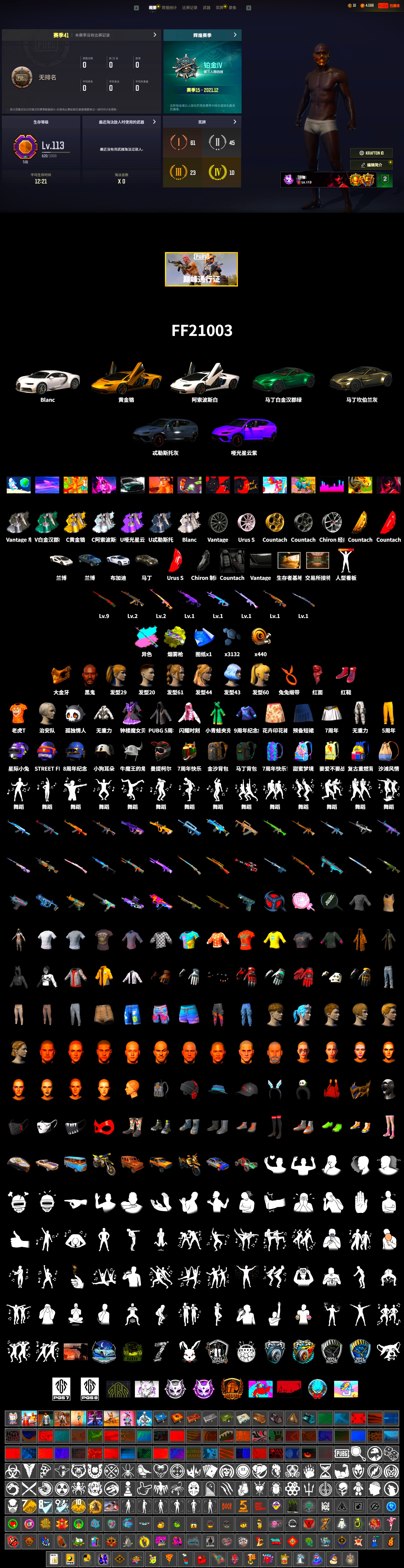 Rest in Pink — Dragunov [2], Yellow Fog of Fury — M79, Hi-top Trainers (Red), «Chiron» Sports Car, «Countach LPI 800-4» Sports Car, «V12 Vantage Roadster» Sports Car, Jonathan Kamau, PGC 2021 Contingent Chaos Mask, PLAYERUNKNOWN's Bandana, Heavy Fur Coat (Black), Harley Quinn's Hair, «DBX707» SUV - 2