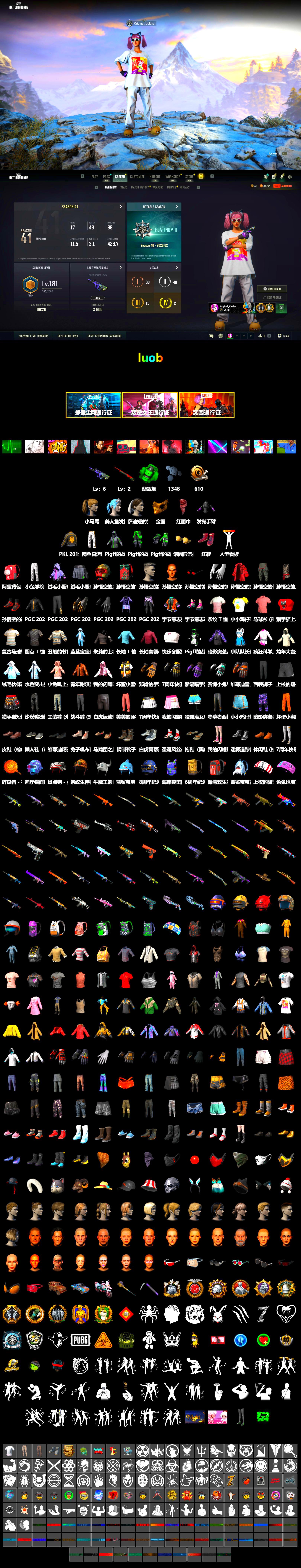 Emerald Smoke Grenade, Hi-top Trainers (Red), PGC 2021 Contingent Chaos Mask, PLAYERUNKNOWN's Bandana, Heavy Fur Coat (Black), Harley Quinn's Hair, PKL 2019 Phase 2 Jacket - 2