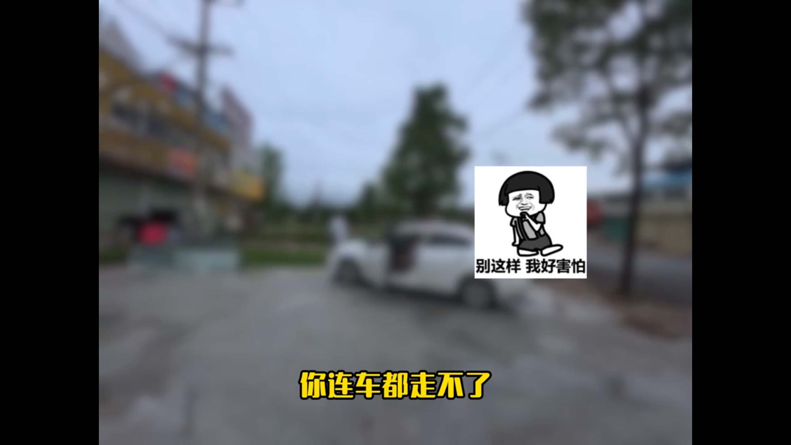 1766659535361876.jpg 5.jpg