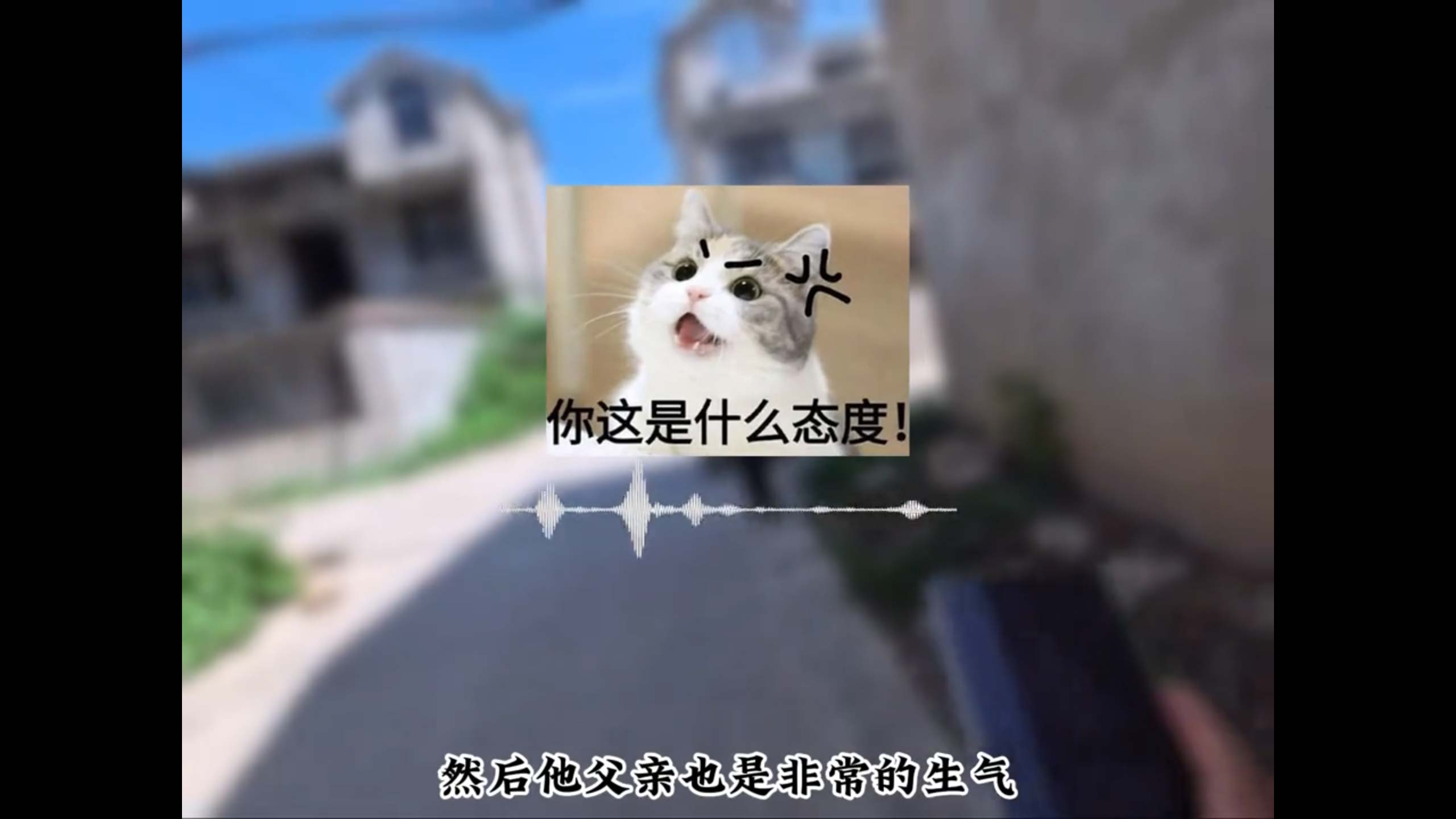 1766821328231244.jpg 3.jpg