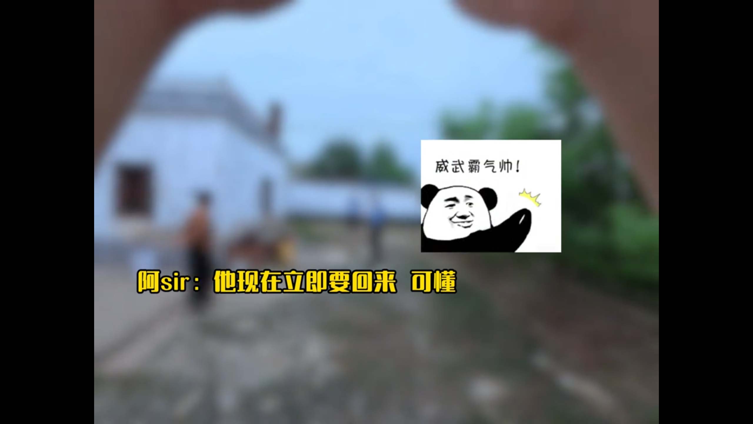 1766905615489650.jpg 4.jpg