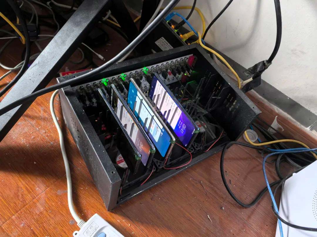 1768979027381701.jpg 3.jpg