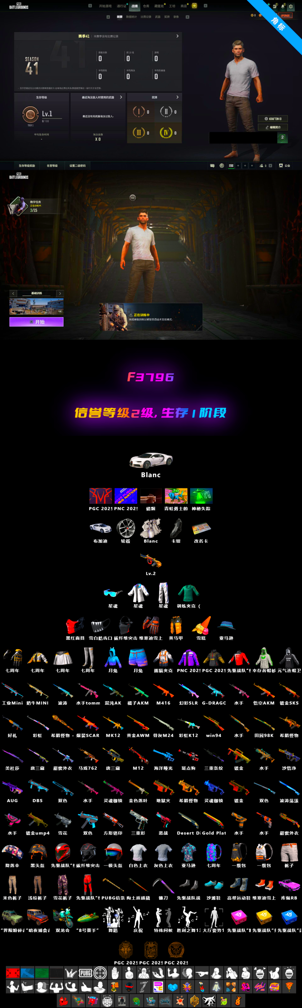 Training Jacket (Green), «Chiron» Sports Car - 2