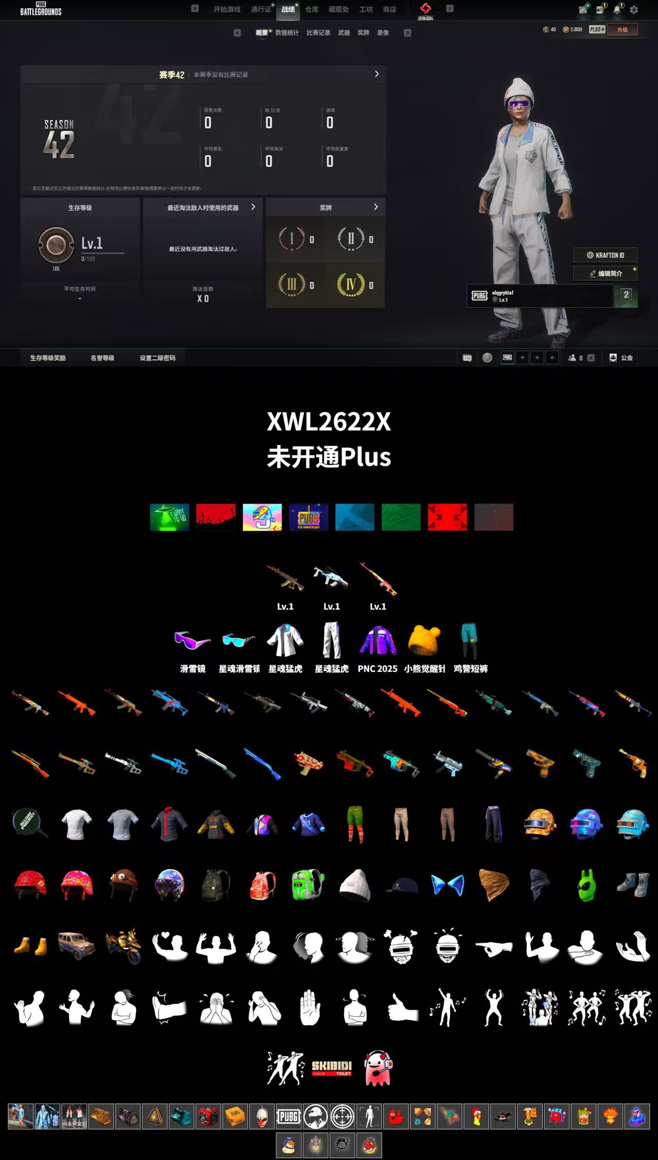 Бесплатная версия Уровень 1 Demonic Touch ACE Уровень 1 Дракон Уровень 1 Ice Groza Лыжные очки Star Soul Tiger - полный инвентарь